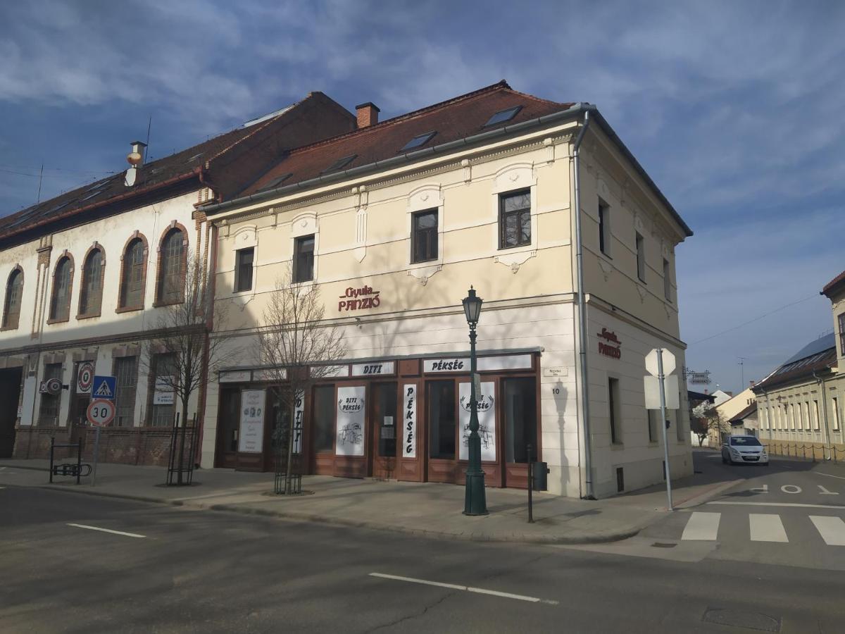 Hotel Gyula Panzio Extérieur photo